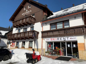 King size apartmán Pension Monika